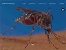 Tablet Screenshot of mosquitozapper.com
